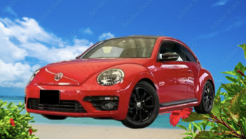 >VOLKSWAGEN THE BEETLE